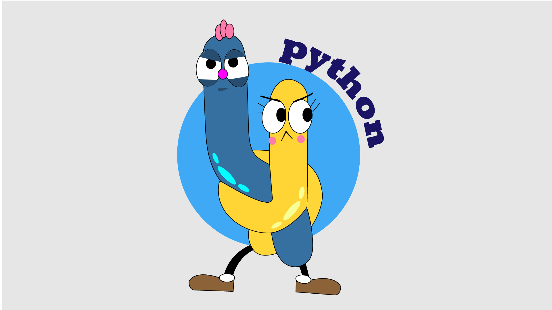 python